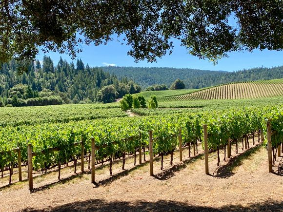  View from our picnic table. 