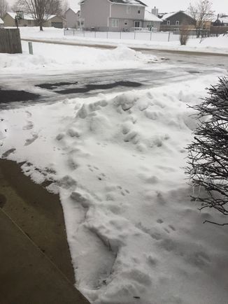 Don’t let them fool you Adie. It ain’t all pretty!!