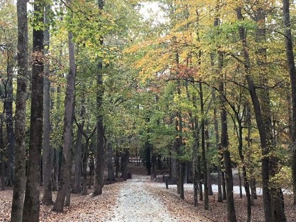 
I will miss this peaceful drive up to the house.