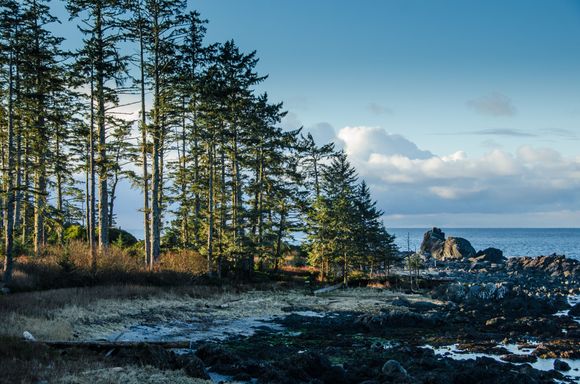 Site of a harrowing 19C shipwreck here in The Graveyard of the Pacific, Some of its timbers can still be seen. 