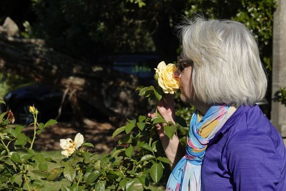  Sometimes you gotta smell the roses! 