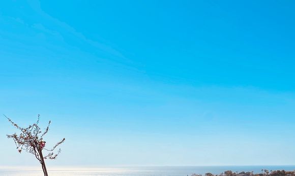 Pièce de résistance and the Pacific 