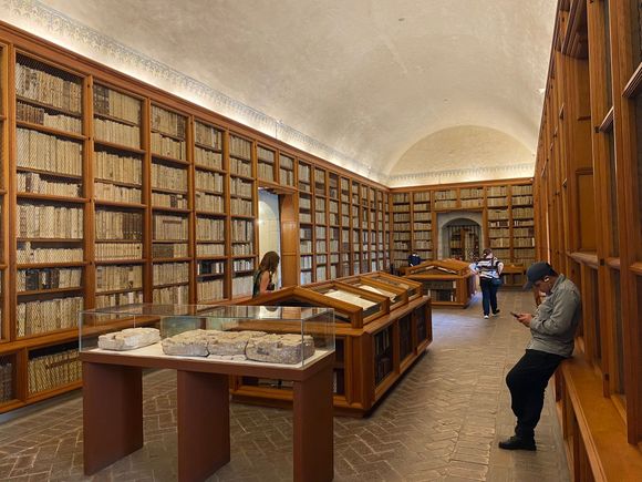 Museo Library