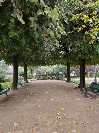 "The Square René Viviani offers one of the best views of the Cathedral of Notre Dame in all of Paris."