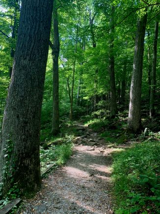 Love the lush greenery.