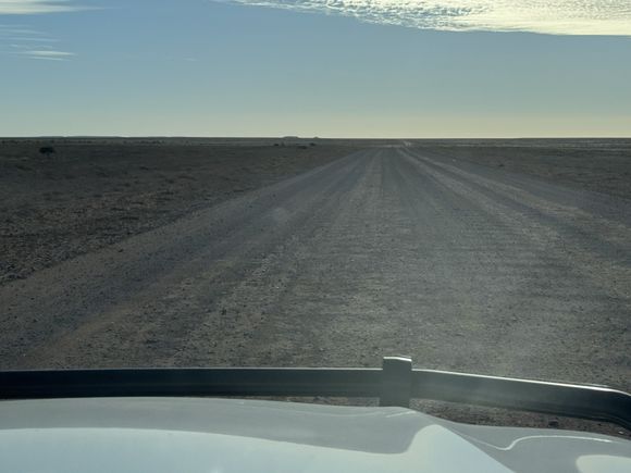 But we did it anyway!