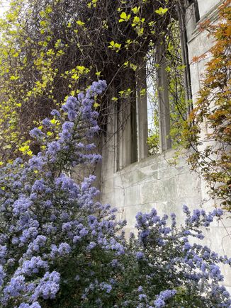 St Dunstan’s in the East