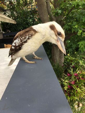 Something interesting down there.