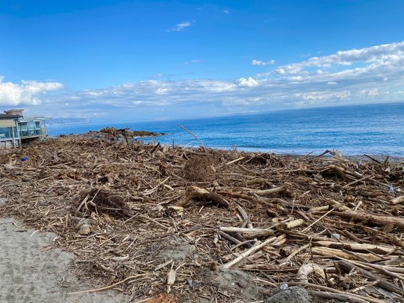 Lots of flotsam and jetsam on the beach in Albenga, with our little beach shack restaurant on the left. 