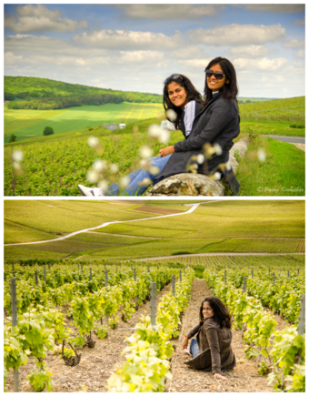 Unhurried and relaxed
Absorbing the surroundings rather than trying to see