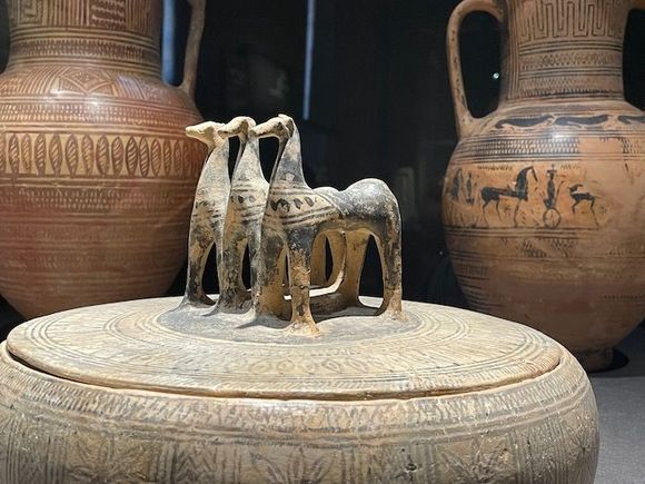 Museum of Mediterranean archaeology