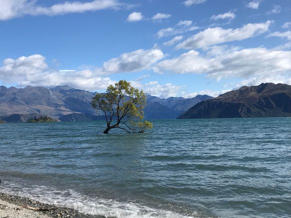 Wanaka
