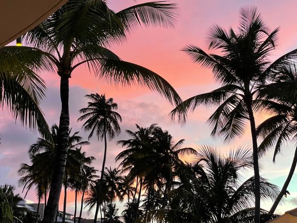 A sunset from PR. We had a great visit and I’m so appreciative of the good wishes but my thoughts turn now to Susan and her family. Life is so fragile. 