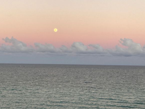 Sunset and moon over Atlantic Ocean, taken 5 minutes ago from our apartment on Miami Beach.