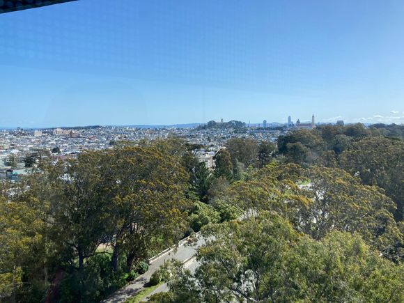 View from deYoung observation tower