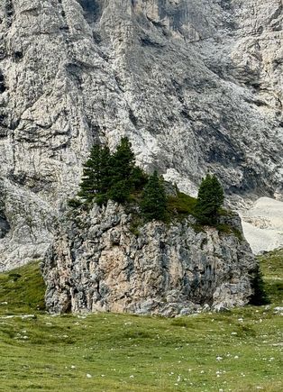 Walking around the base of the Sassolungo. We were fascinated by the small rocks with trees growing out of them.
