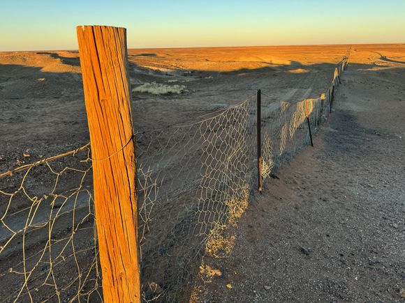 The 3500 mile-long Dog Fence