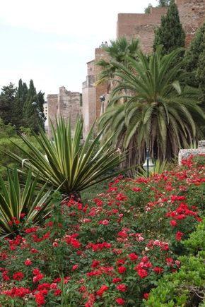 Alcazaba in Malaga
