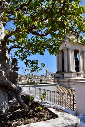 View from Terrazza Navona