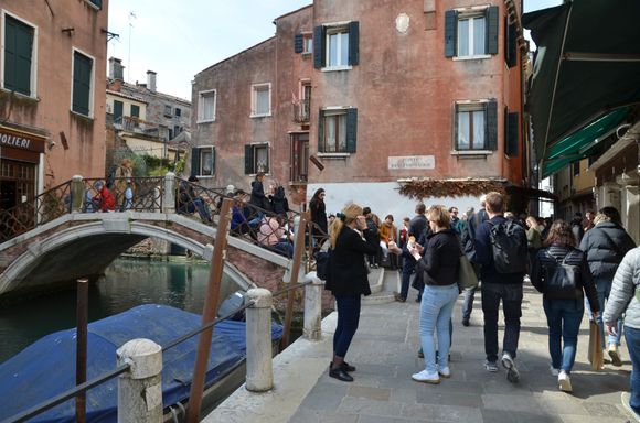 bustling, inexpensive bar