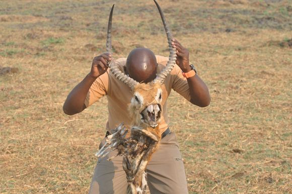 Naaw..won't make a good trophy