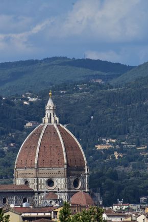 The view from my window!