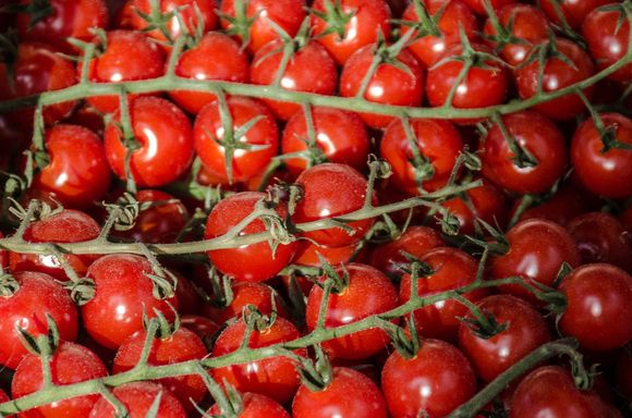 cherry tomatoes et aussi...