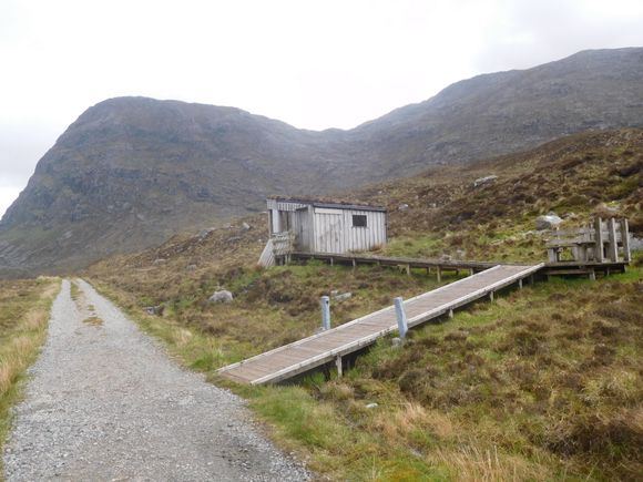 Approaching the hide