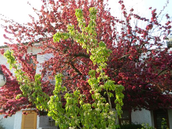 before breakfast, on the other side