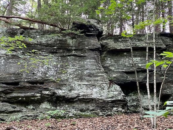 Sloan Girge Nature Preserve