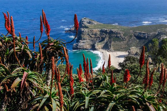 From the Cape of Good Horn, the most southwestern point of the African continent.