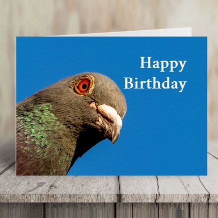 Hey, Happy Birthday from me too...... and  Thank You for the snacks all year  long.