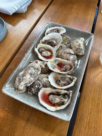 Oysters at the Sky Shed.