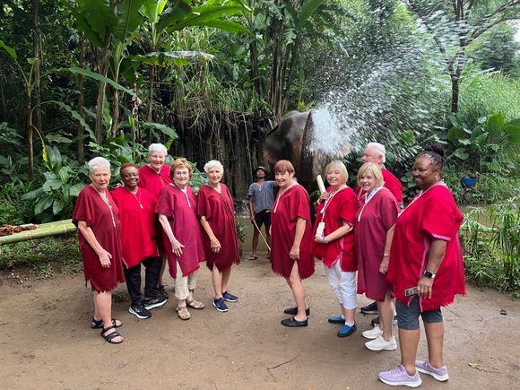 Our group.
Elephants love to spray you 