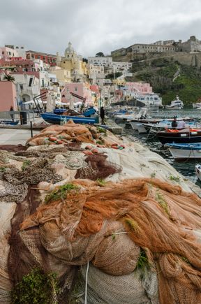 Children and cats played atop some piles of nets.