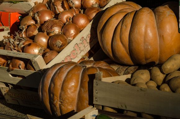 Zucca zucca zucca. A sort of soufflé is made from this vegetable, a dessert dish not to be missed.