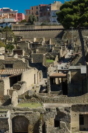 Archaeologists were using that tall ladder featured in the top right corner above (below tree). They utilized it to remove loads of rubble up to waiting vehicles. Note that the modern city of Ercolano still covers the majority of the Herculaneum site. Modern tech will no doubt aid our understanding of just what exactly is still waiting to be excavated.
