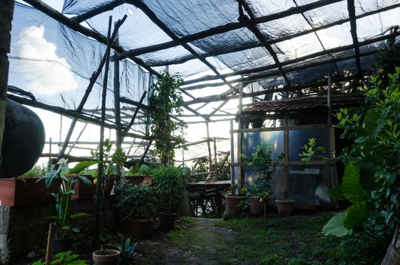 Along the breezy path, walkers will pass countless groves where citrus is cultivated. You keep going along via vena. This farm on via Pedamentina was close to Maori and the end of the hike.