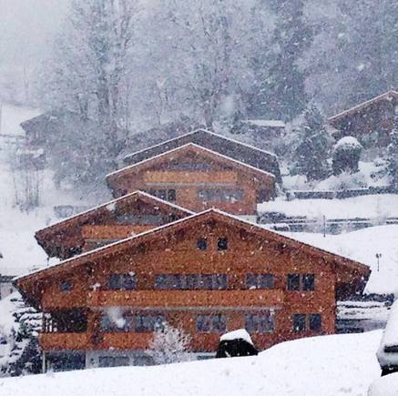Posting a little early today...

December 10. Snow falling on chalets, Grindelwald, Switzerland.