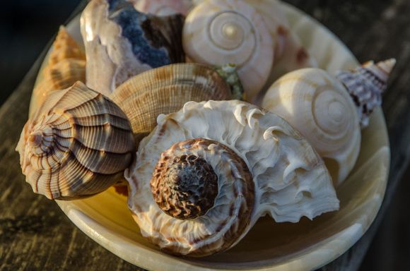 An alabaster dish from Egypt was used as the base for this shot.