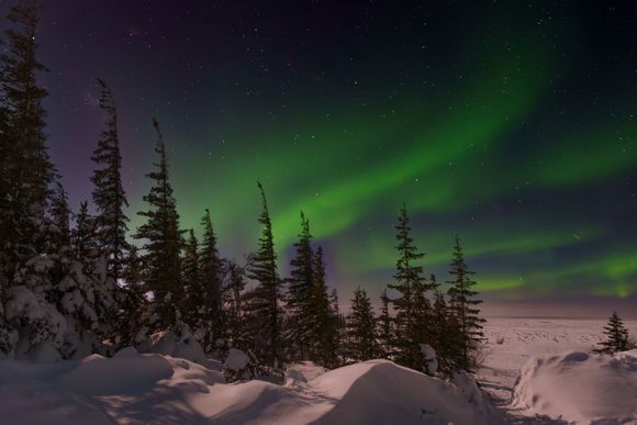 Happy birthday, Gruezi! I hope the next year brings you awe inspiring moments, plenty of laps in the pool, great books, journeys of peaceful solitude, laughter, and of course chocolate!