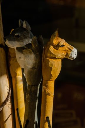 Walking sticks.