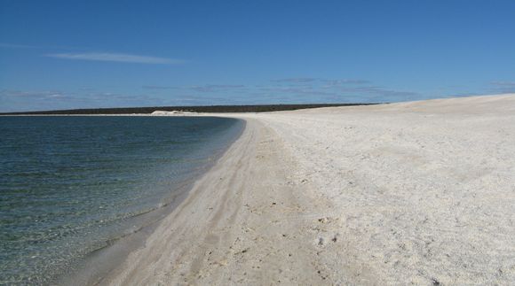 Shell Beach, NW Western Australia - beach made completely of cockle shells, up to 10 meters deep in some areas, 2010 
