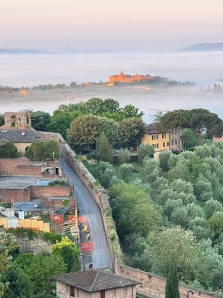 This view also shows the walls