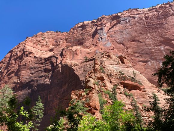 Scenery along Taylor Creek trail