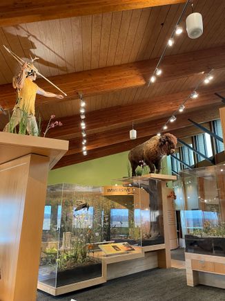 The Nature Center 12 miles from home. All about the Illinois prairies. Loved the Indian and buffalo. I really loved it all, nerd that I am. 