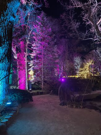 Beautiful but spooky. 