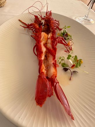 Carabinero (giant red shrimp); this seemed skimpy as compared to those I devoured at ANTONIO, but the meat was tasty and gorgeously sweet and I sopped up everything inside the shell--eating with my hands, as I usually do with shrimp.