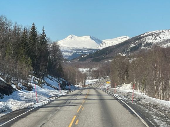 Snow covered landscape 