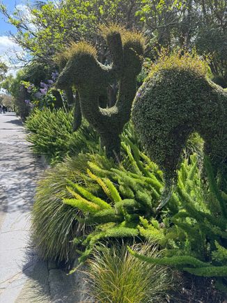 and interesting greenery